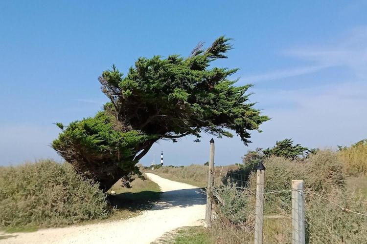 Les Hameaux Des Sables Vignie Saint Georges D Ol Ron Holiday Home Not Detached エクステリア 写真